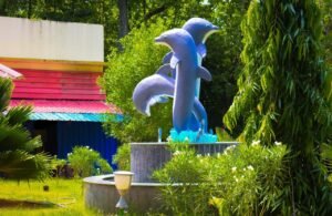 WhatsApp Image 2025-12-02 at 13.32.33_c92c05bc