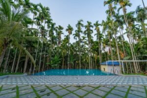 WhatsApp Image 2025-12-02 at 13.33.54_b0cc9dd6